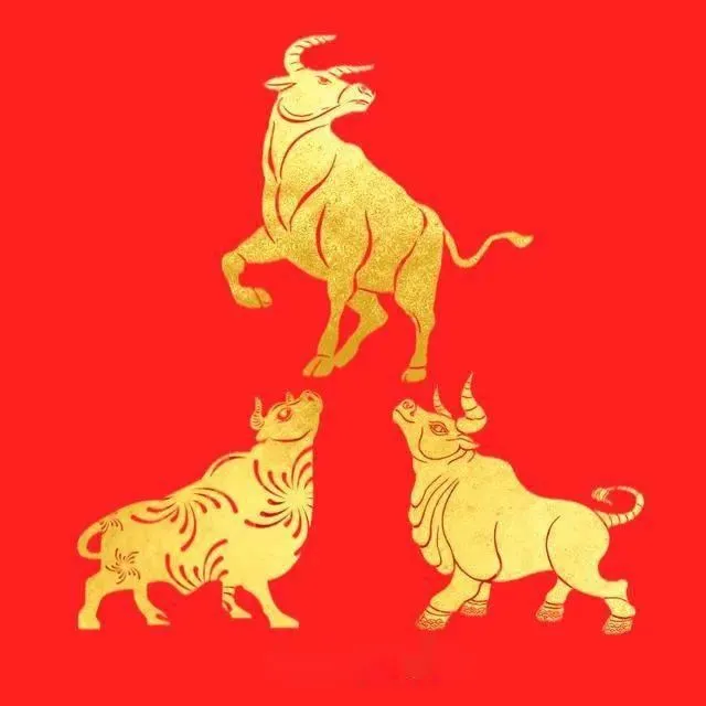 시작의 행운을 빕니다