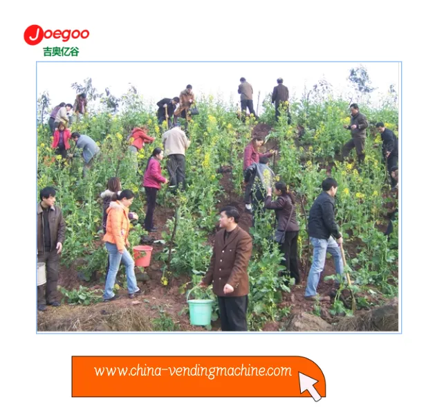 저구기업 수출부서 식물축제 봉사활동 조직